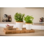 FISKARS No�yczki do zi� i kwiat�w